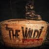The Wild! post new track “Best In The West”