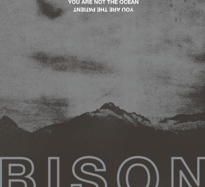 Bison post track “Until The Earth Is Empty”