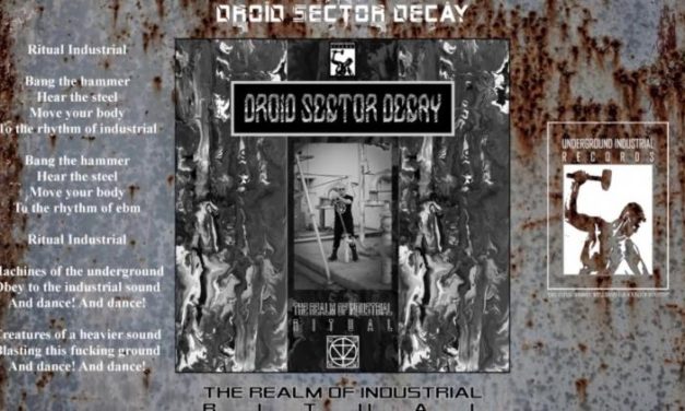 Droid Sector Decay post track “The Realm Of Industrial Ritual”