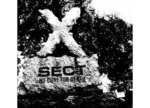 SECT released a video for “Day for Night”