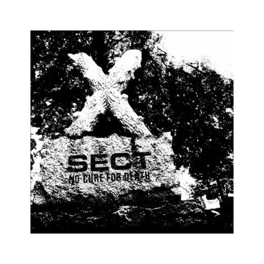 SECT released a video for “Day for Night”