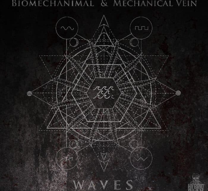 BIOMECHANIMAL and MECHANICAL VEIN Announces Split Single “Waves”